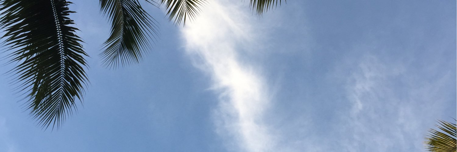 RodHorneffer's profile banner image
