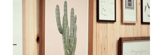 bnn_4's profile banner image