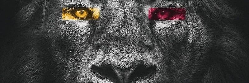 dlldgn's profile banner image