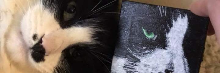 Mooftress's profile banner image