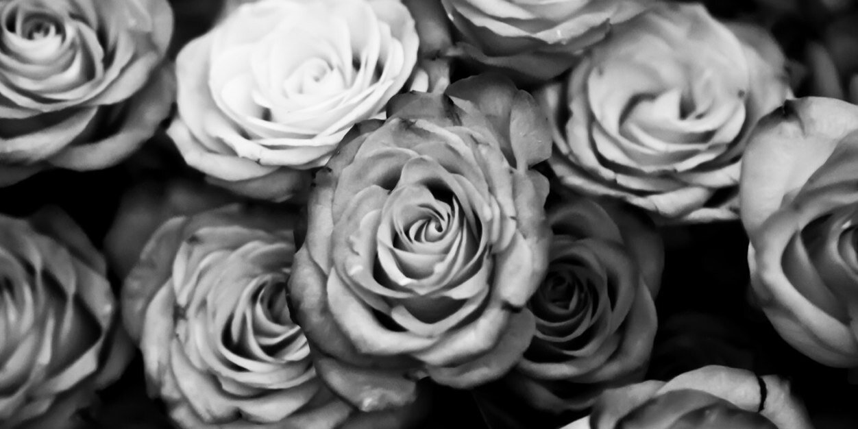 Air_e's profile banner image