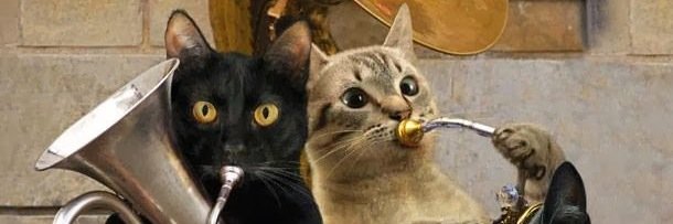 lizardinaz's profile banner image