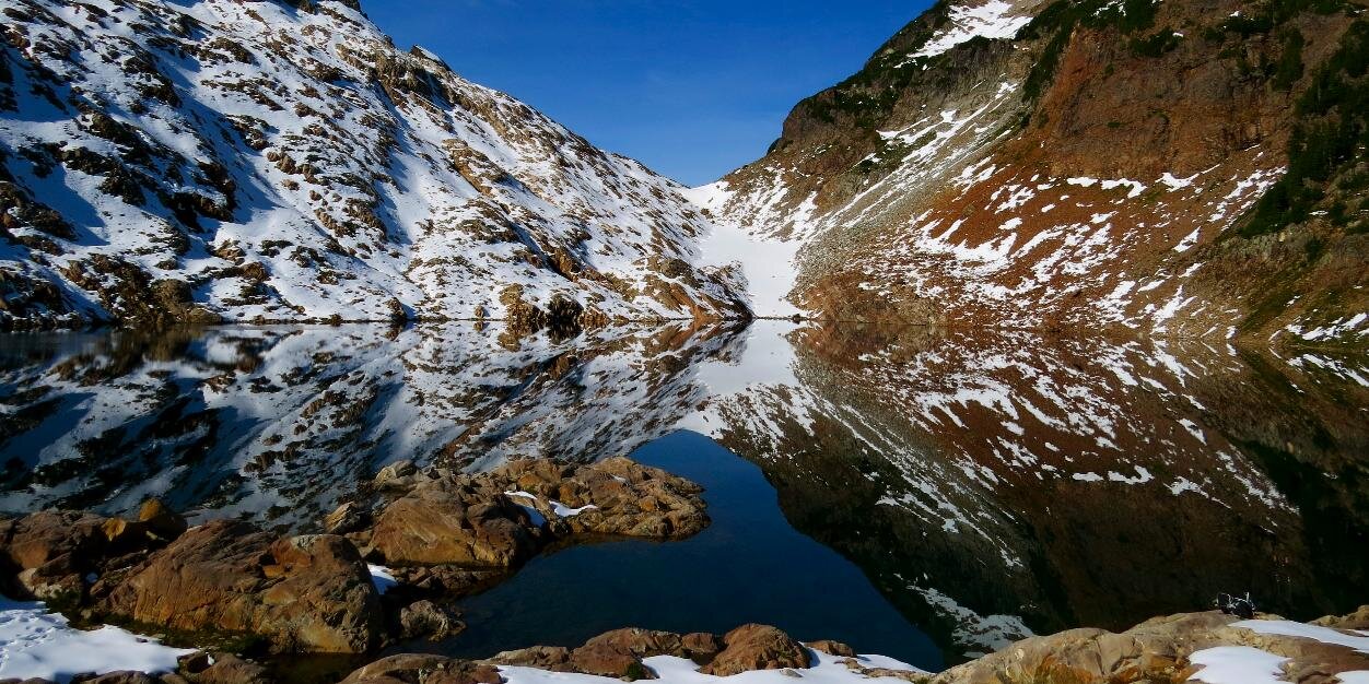 Michael Restivo banner