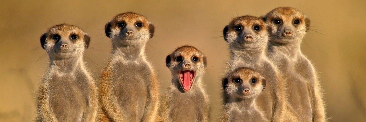 raphaelbeamonte's profile banner image