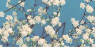 2000Danoontje's profile banner image