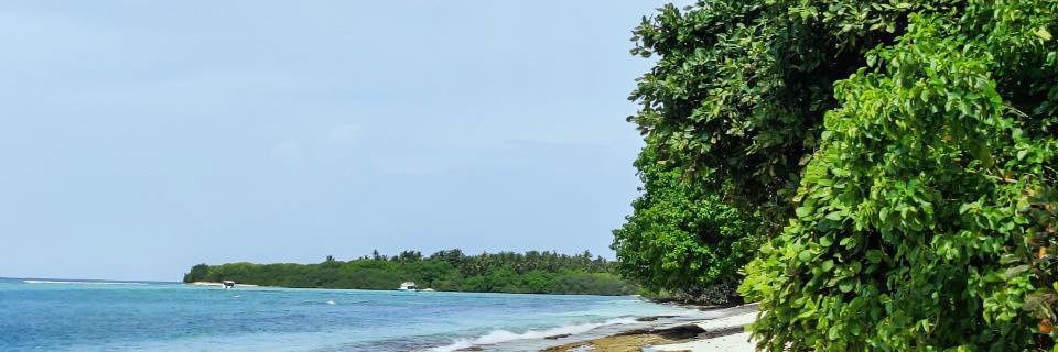 ibbesoru12's profile banner image
