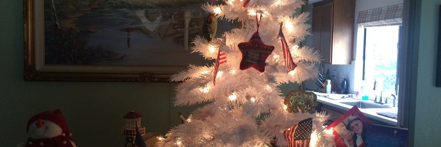 Hopeful for 2024 Grandma banner