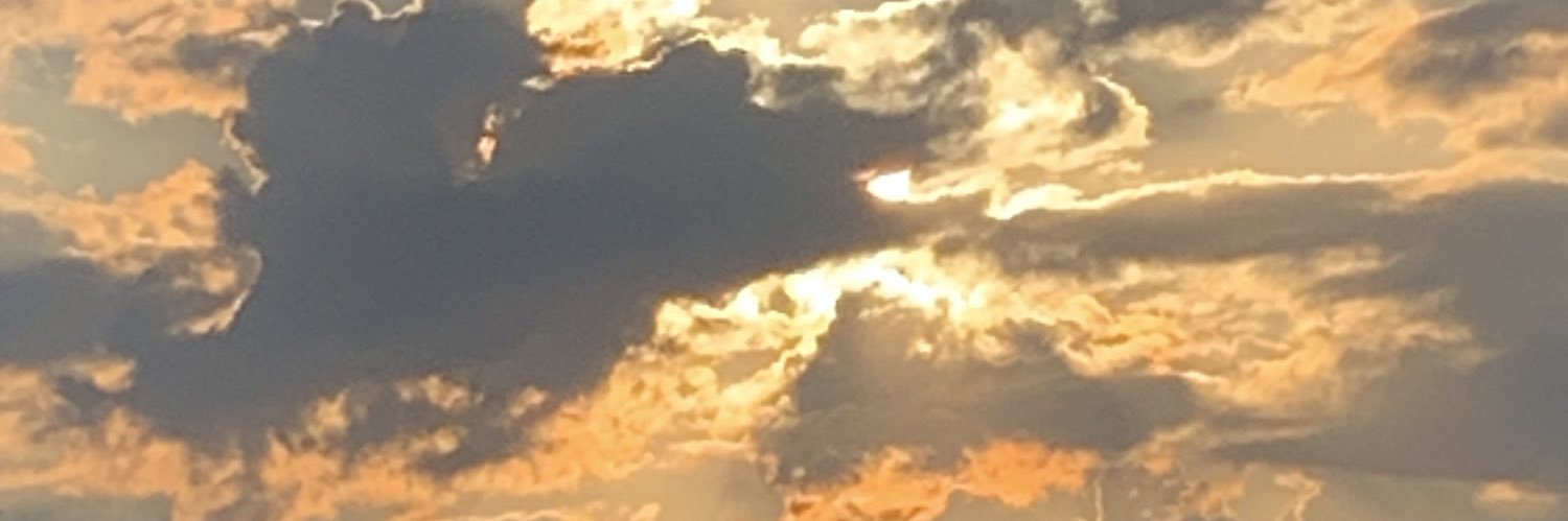 zoebash18's profile banner image