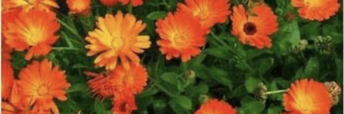 ferdayildirim26's profile banner image