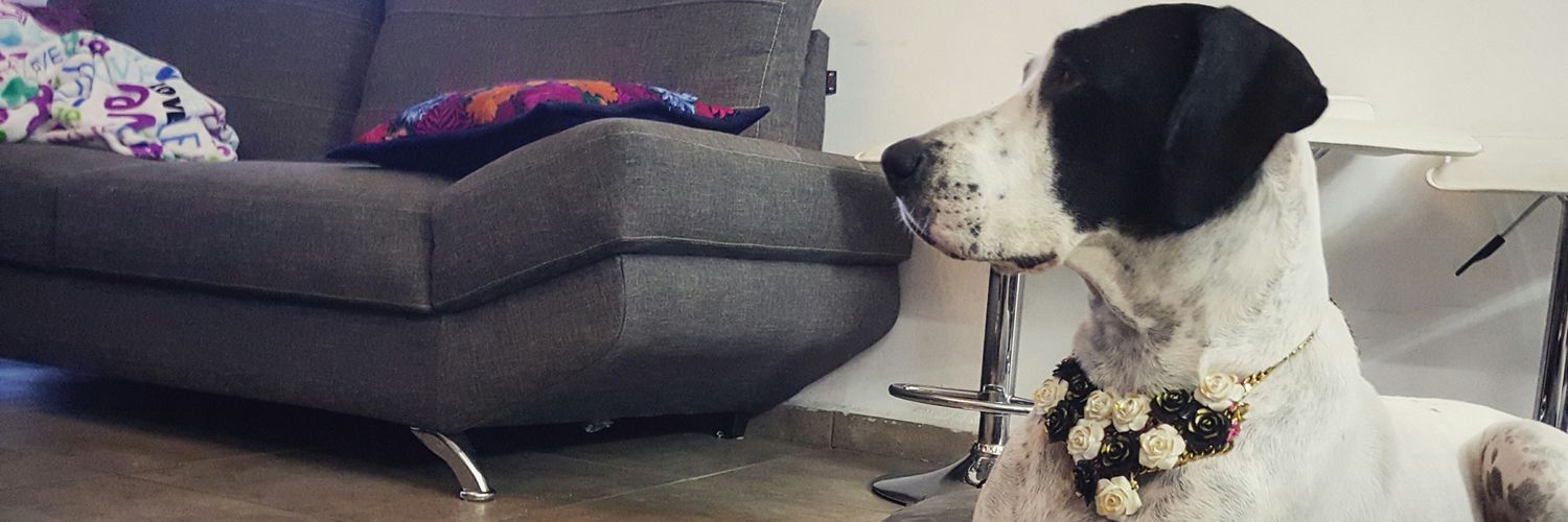 SARAMROBLES's profile banner image