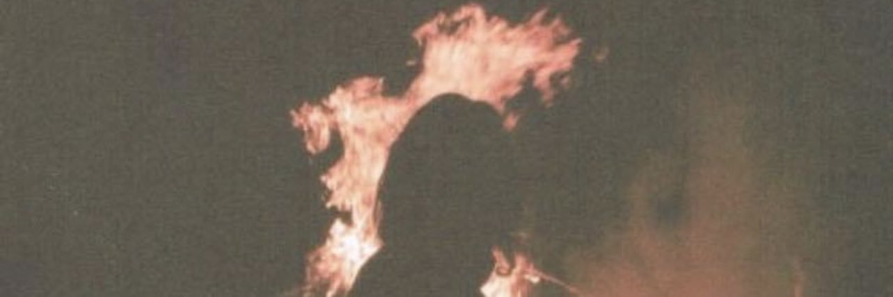 AhnileeV's profile banner image