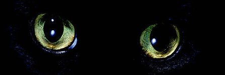 MarieNovello's profile banner image