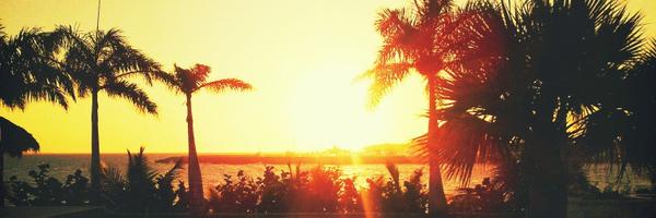 almodovar Profile Banner