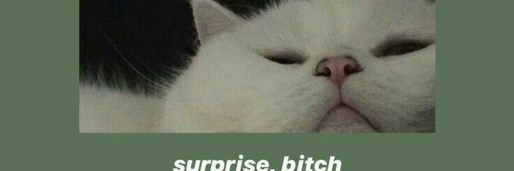 Amanose_99's profile banner image