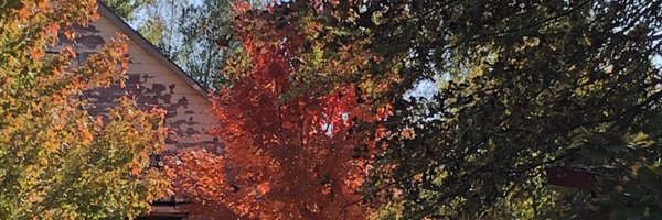 etwarling8 Profile Banner