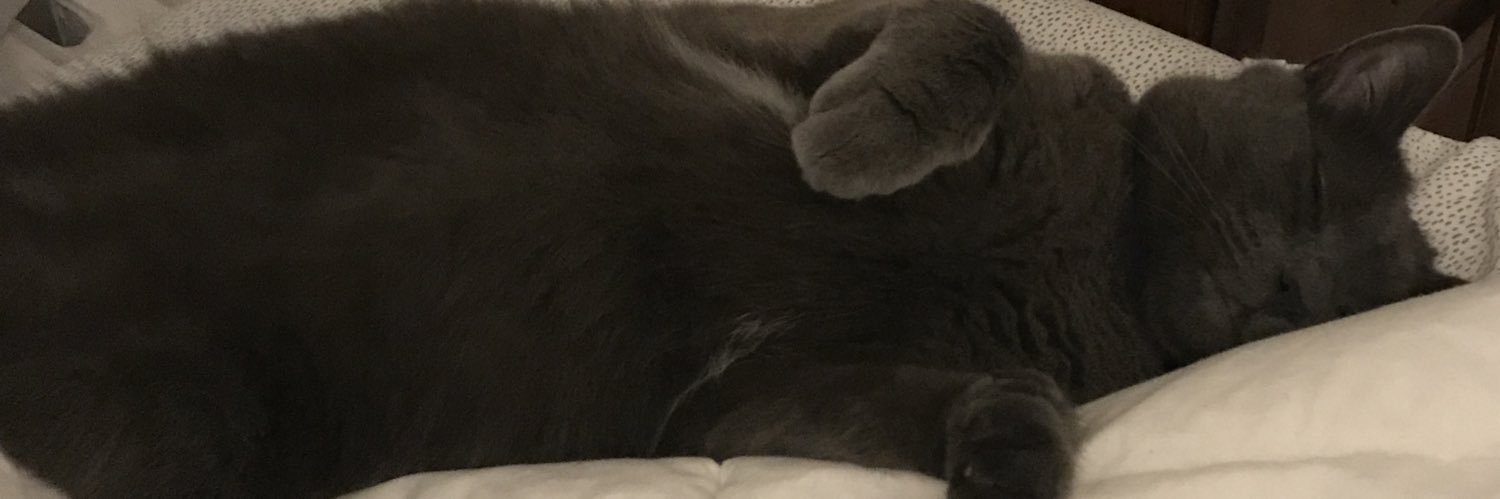 Dropsofstupider's profile banner image