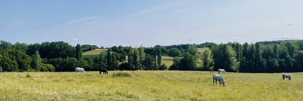 le_perche Profile Banner