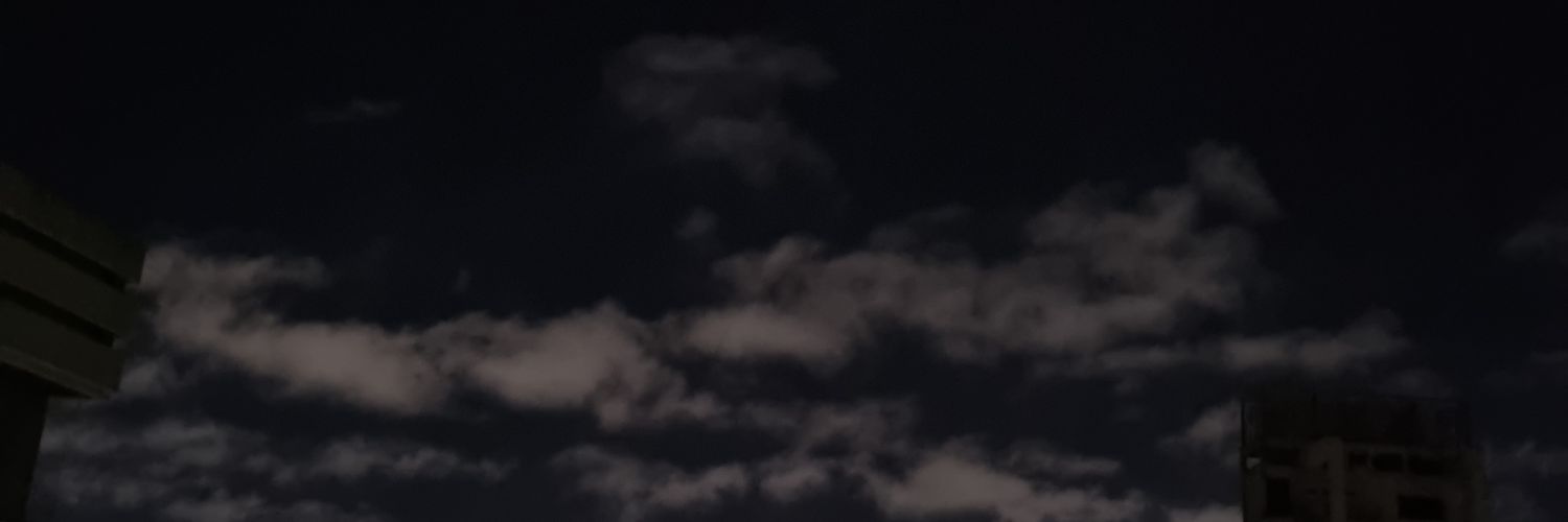 lulaas_'s profile banner image