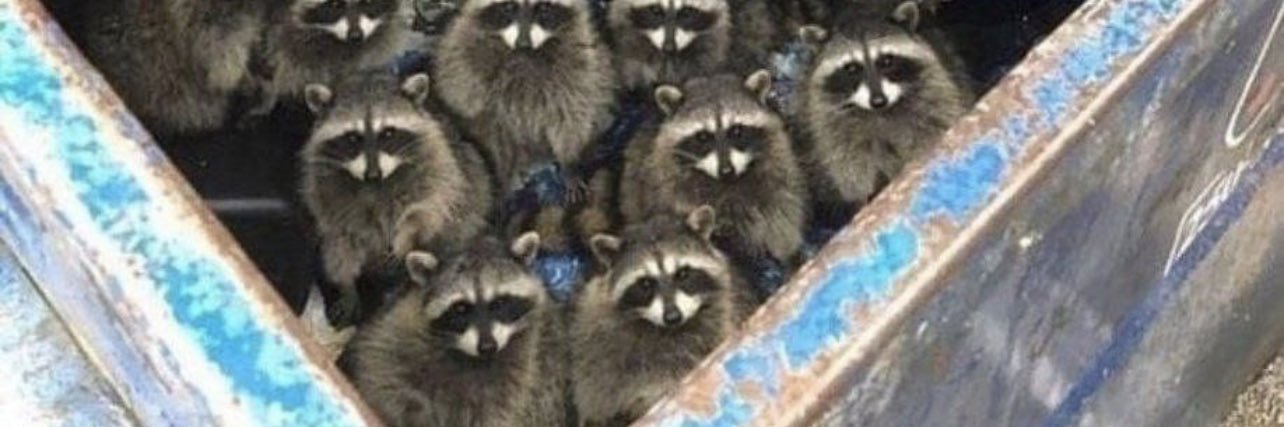 ZoomZilla 🇺🇸 banner