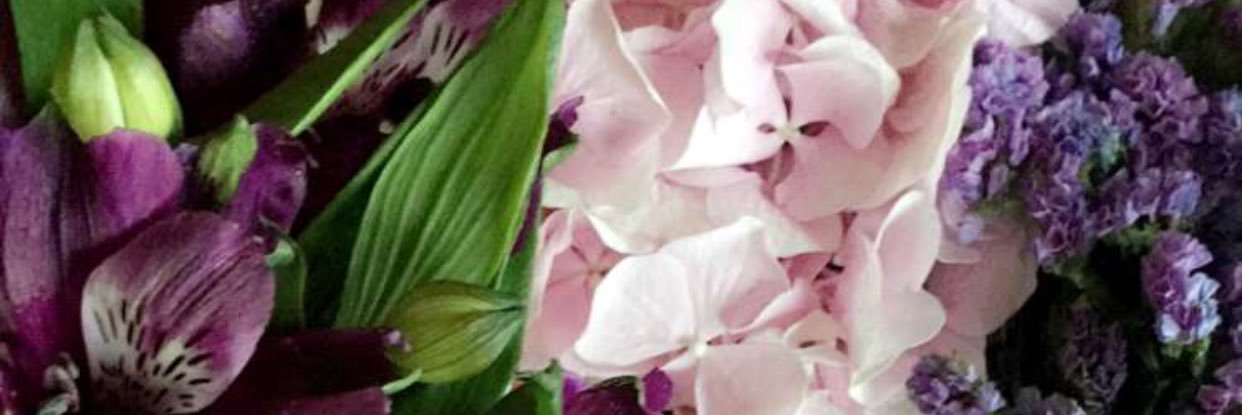 noofalz's profile banner image