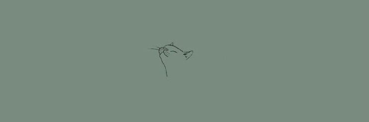 Somerhealy's profile banner image