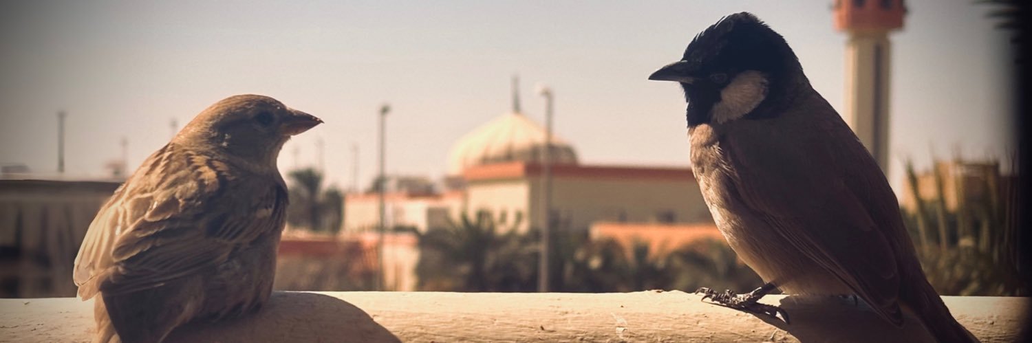iHardned's profile banner image