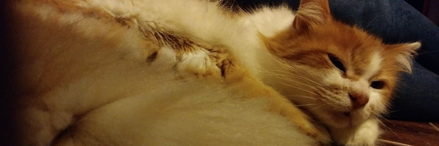 Neegraa1's profile banner image
