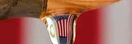 klva99's profile banner image