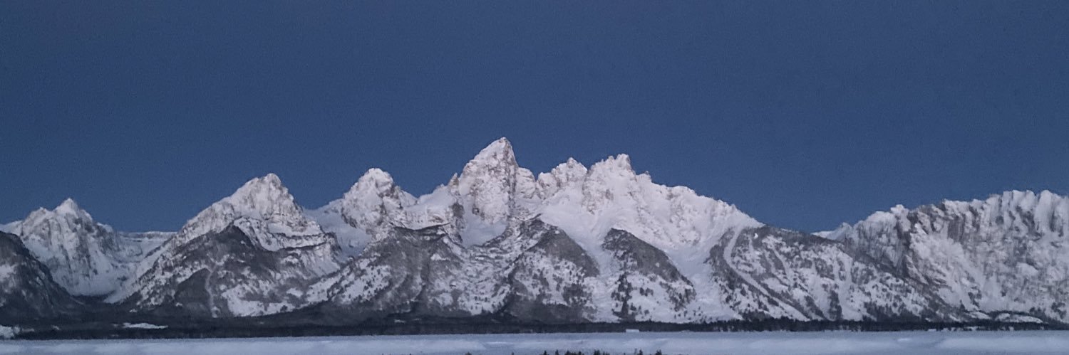 catadavidd's profile banner image