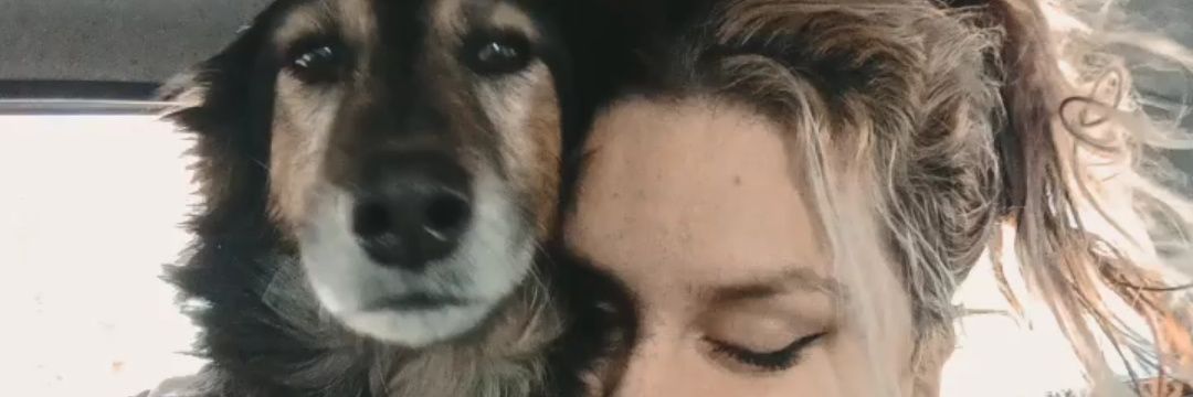 Luna_Iatta's profile banner image