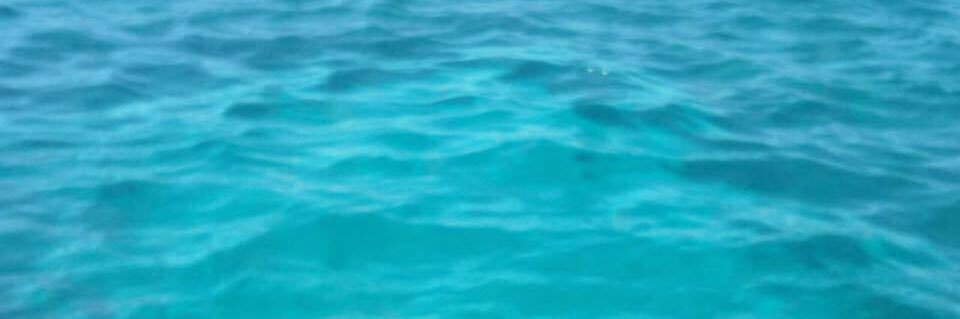 FrancescoInnaco's profile banner image