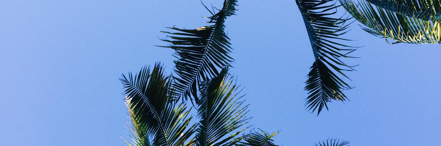 yojuann_'s profile banner image