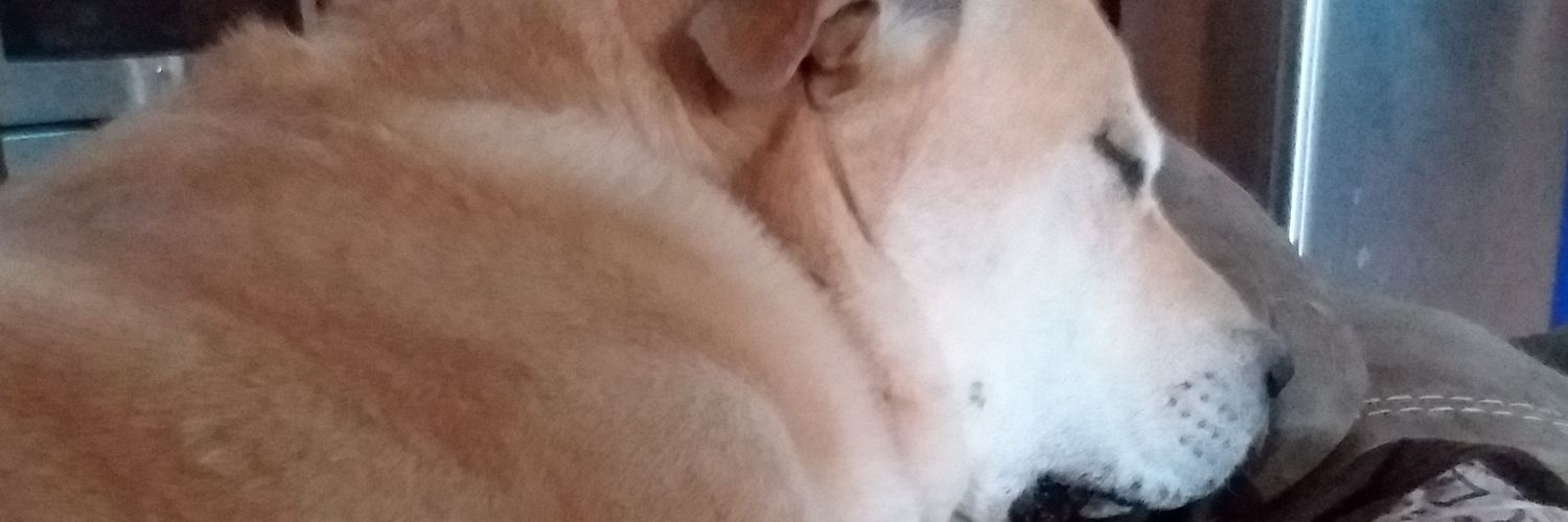 docpierce2's profile banner image