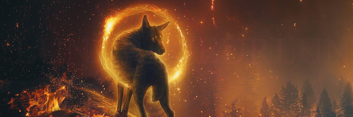 LillisPeter's profile banner image