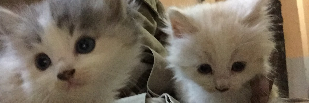 Yazzeed21's profile banner image