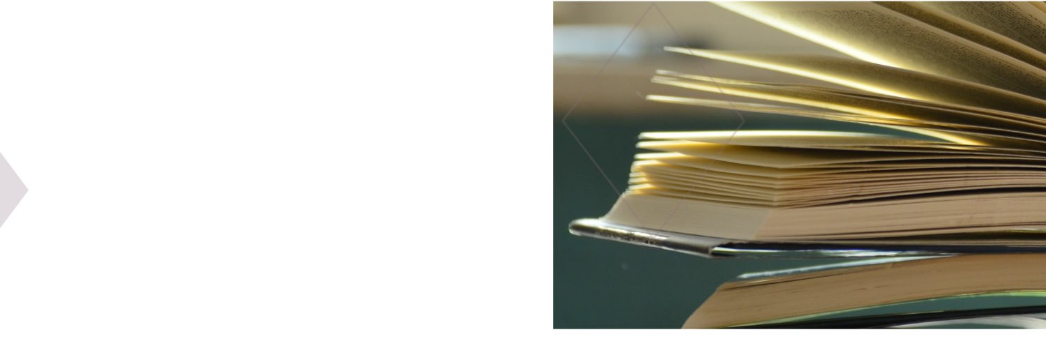 Flávia Campos Guth banner