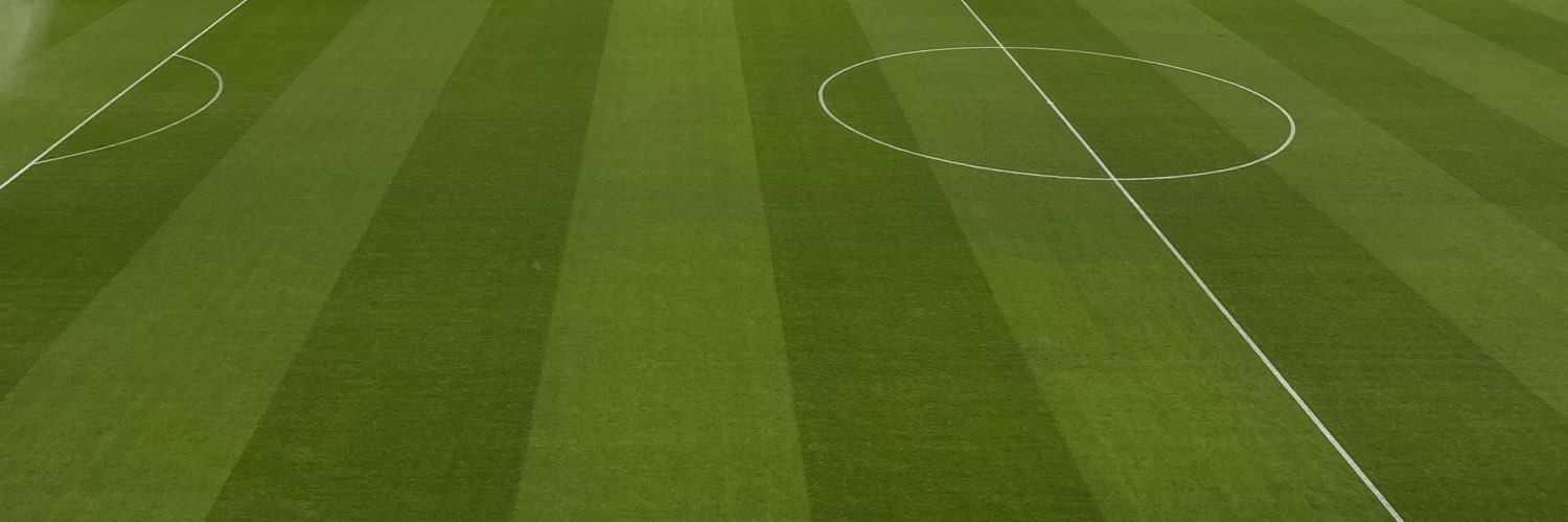 pidipipo banner