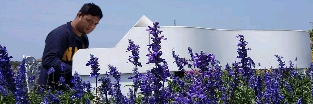 Flip Martinez banner