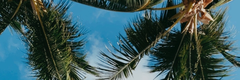 VickyApellido's profile banner image