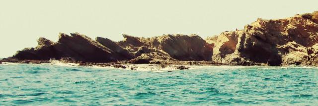 cade banner