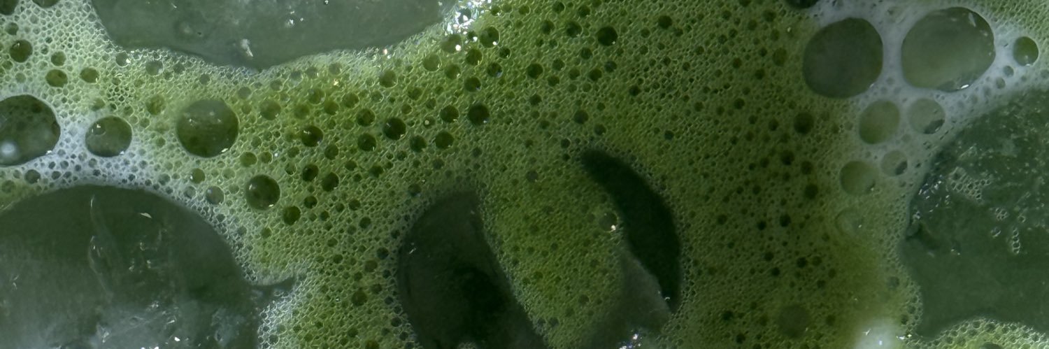 natalieforidia's profile banner image