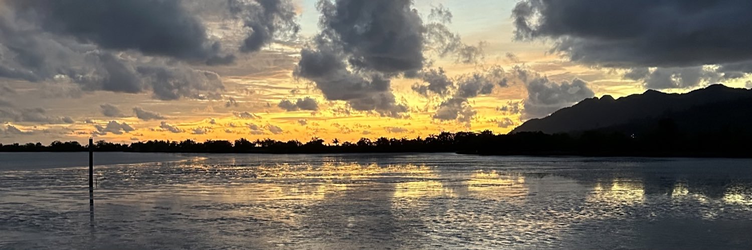 miqueldarnes's profile banner image