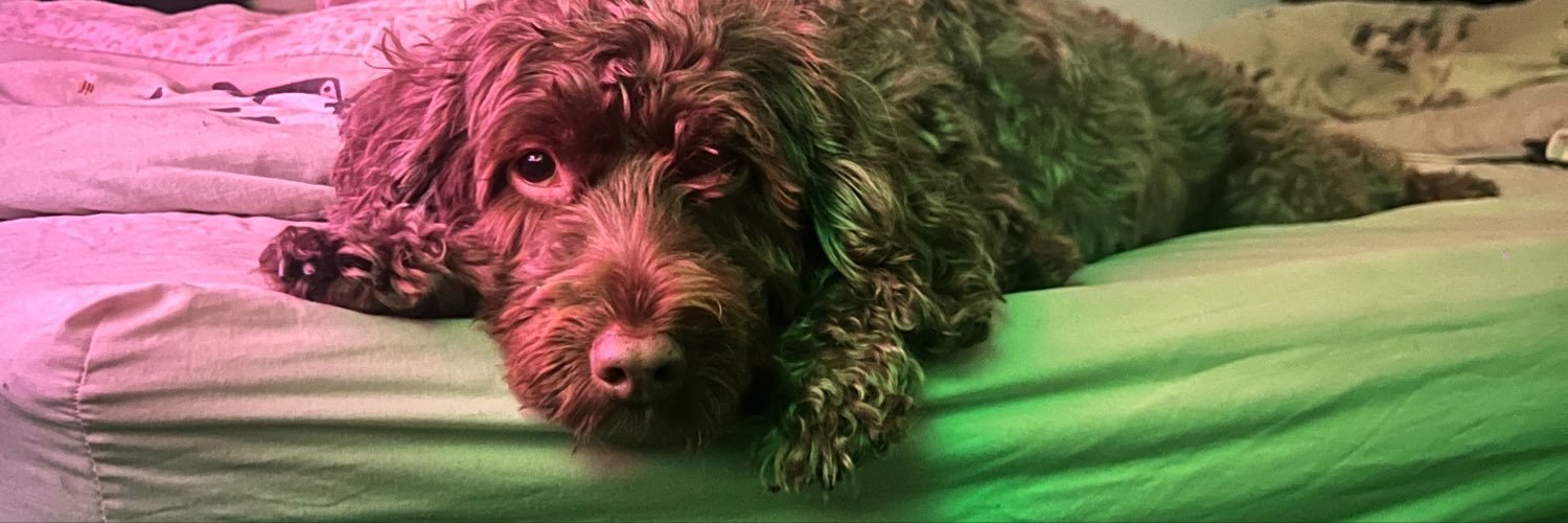 JamesTeteris's profile banner image