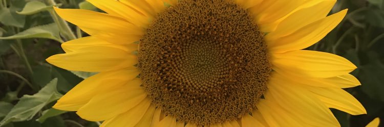 A_Winterbotham's profile banner image
