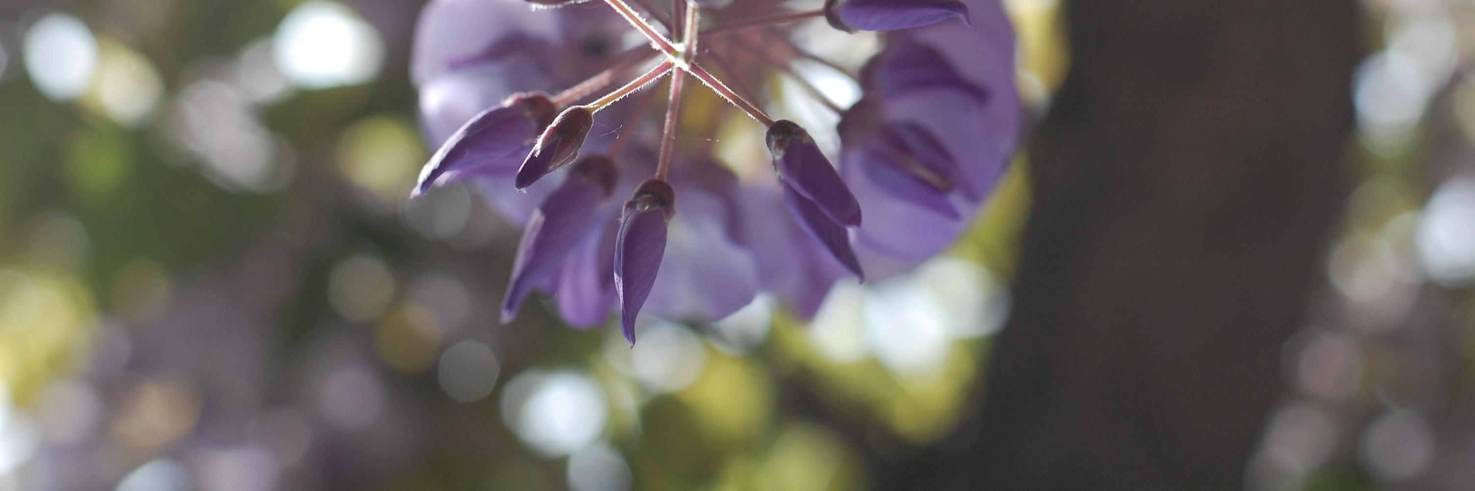 i_heit's profile banner image