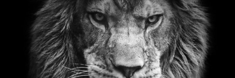shane2013's profile banner image