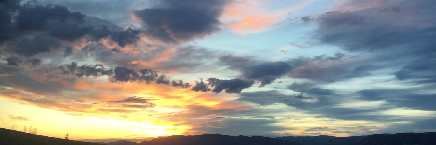 DenelleHauck's profile banner image