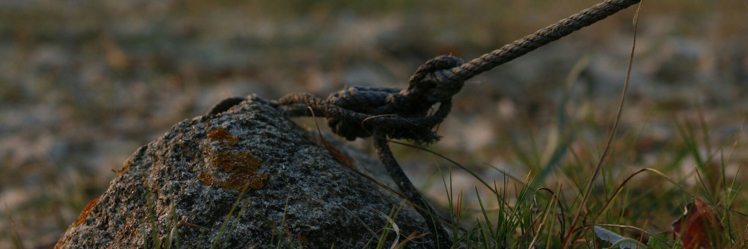 BustoPrez's profile banner image