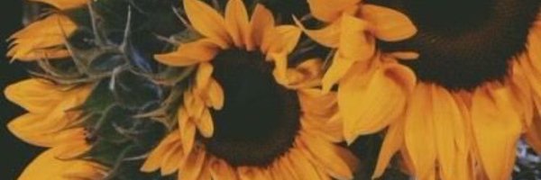 kbaexo Profile Banner