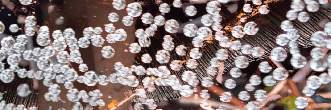 Michelle Furtado banner